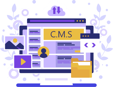 CMS module development